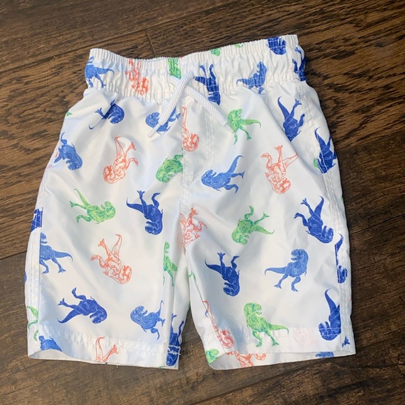 Dinosaur surf swim trunks boys size 4 beach pool swim summer vacation - Picture 1 of 3